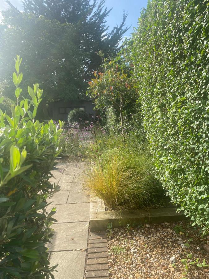 The Studio Lavant Exterior photo